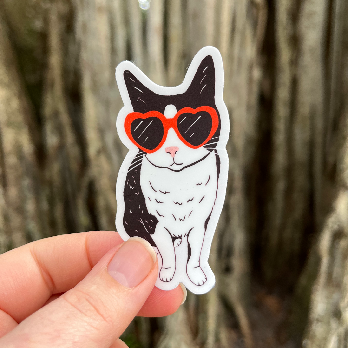 Cool Cat Sticker